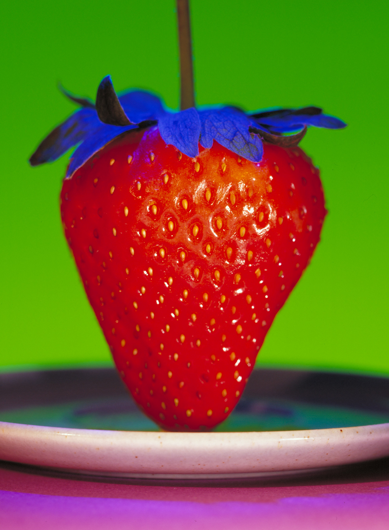 Scott Nibauer | Strawberry Blues Food Color Photography