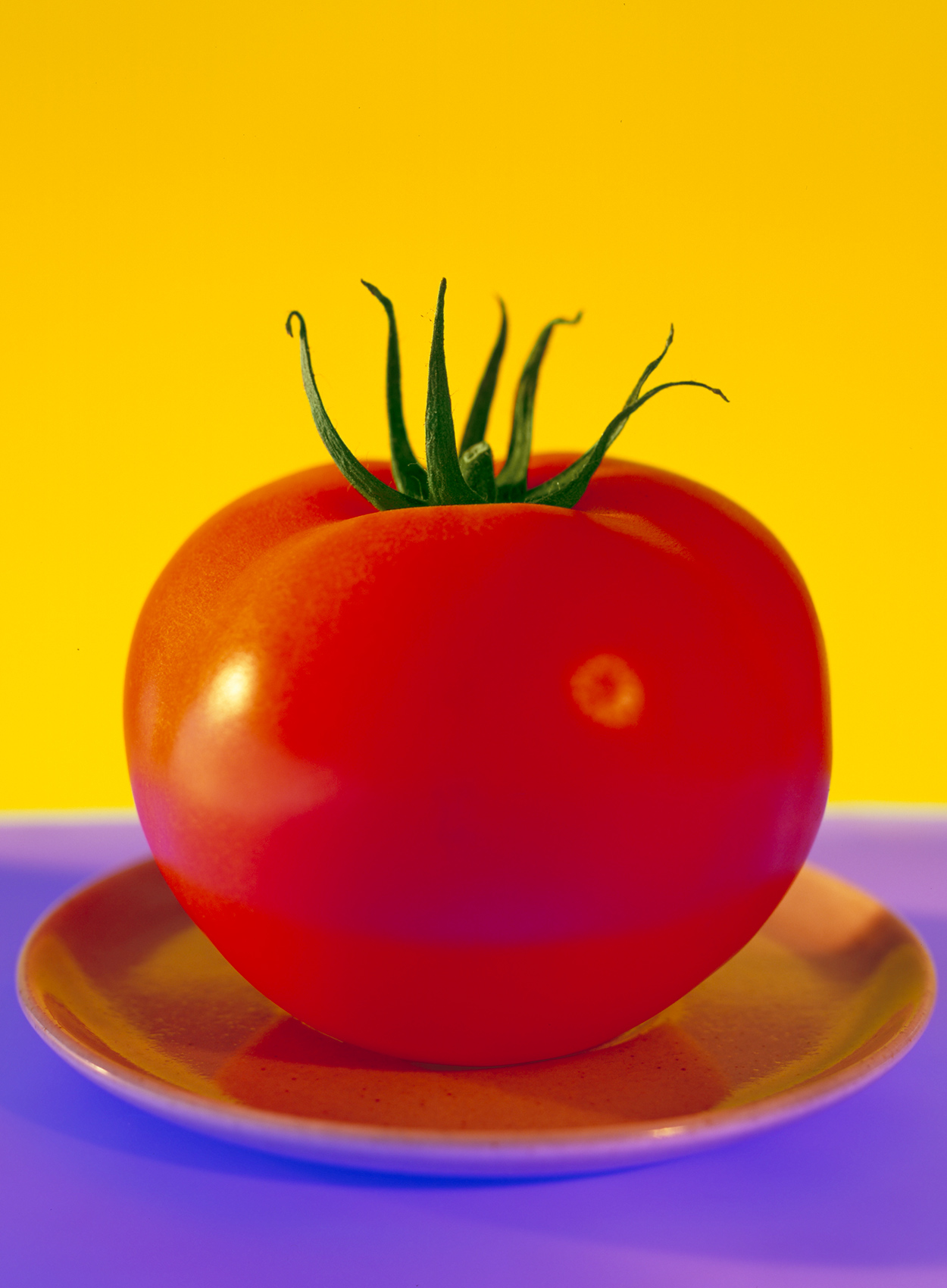 Scott Nibauer | Tomatos Food Color Photography